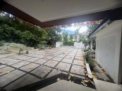 Leedon Park (D10), Detached #497433571
